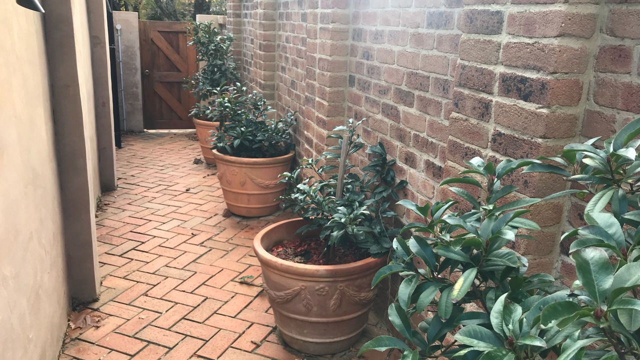 Photo of Outdoor in Orange