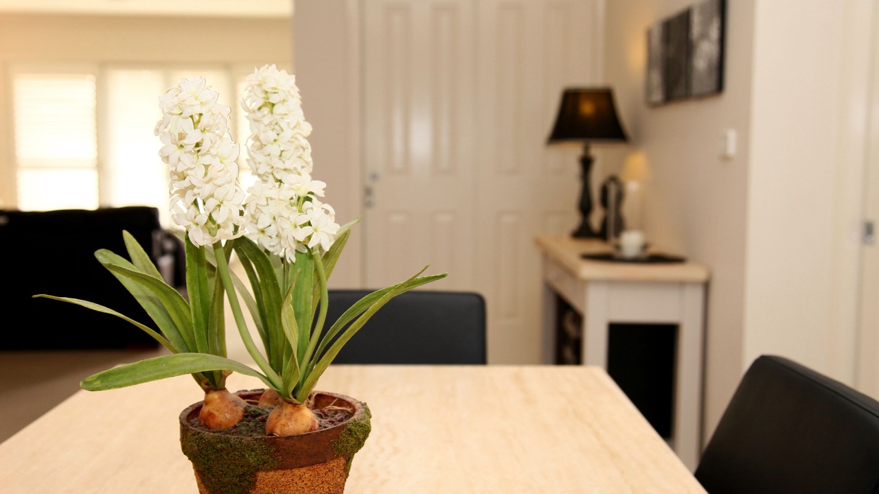 Photo of Others in Orange