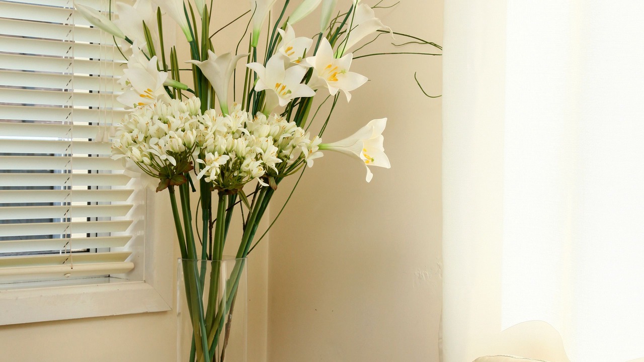 Photo of Others in Orange