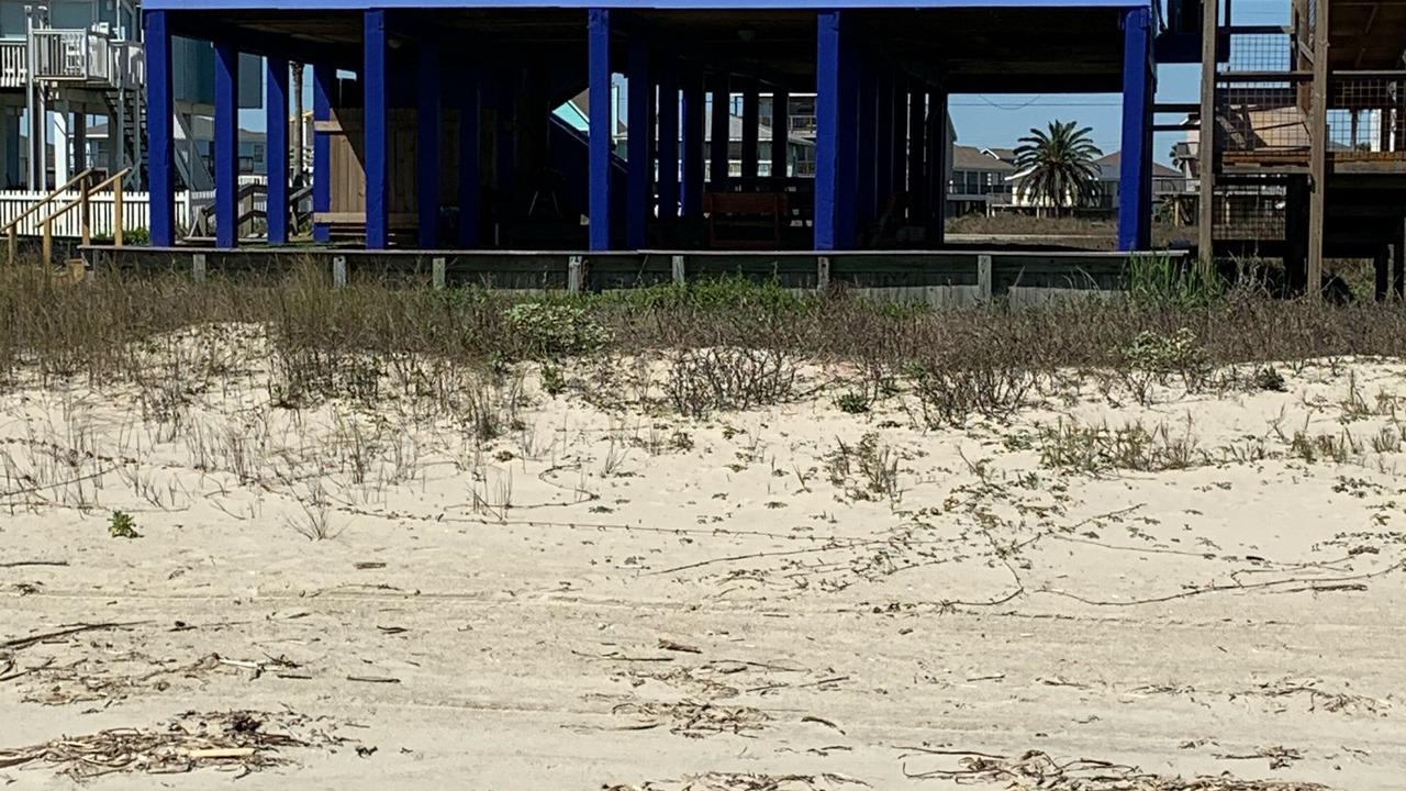 Photo of Others in Terramar Beach