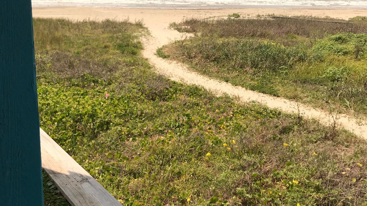 Photo of Others in Terramar Beach