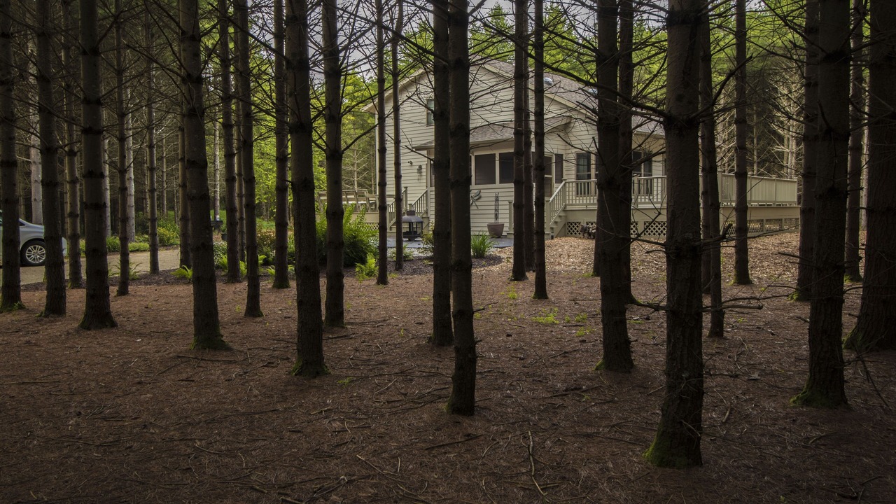 Photo of Outdoor in Baileys Harbor