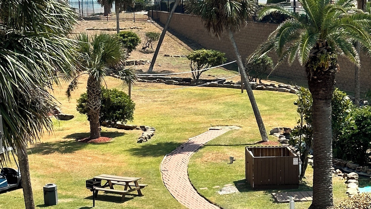Photo of Others in Galveston