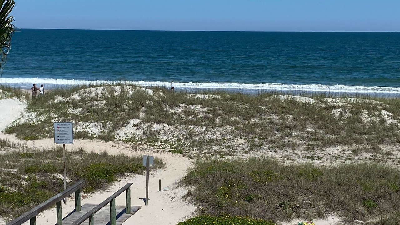 Photo of Others in American Beach