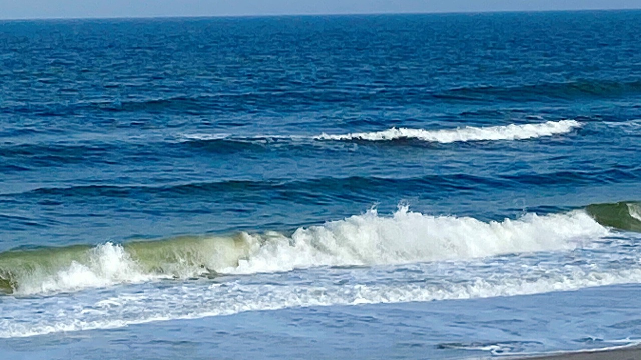 Photo of Others in American Beach