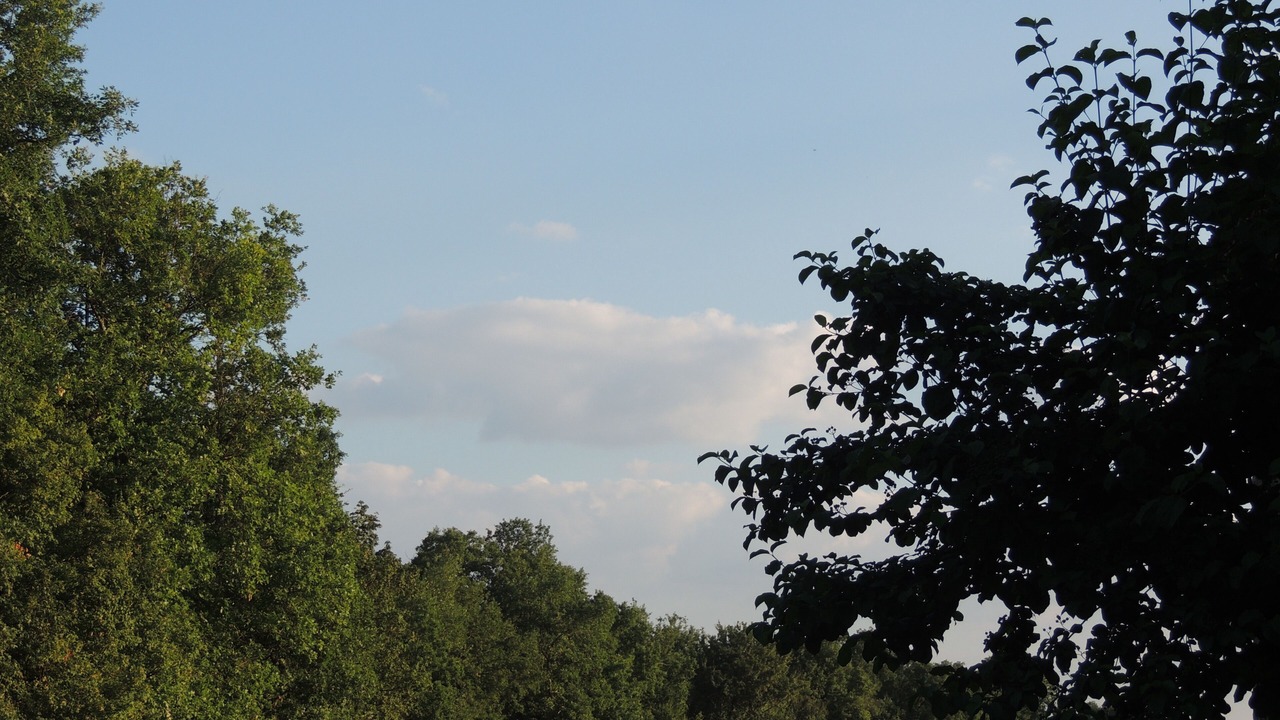 Photo of Outdoor in Gensac
