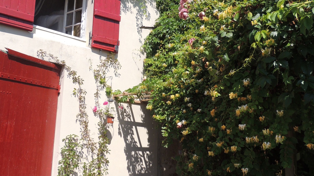 Photo of Outdoor in Gensac