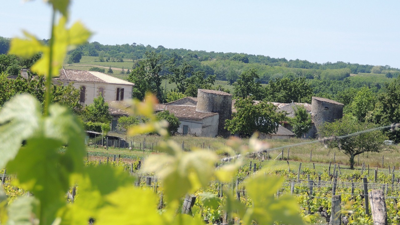 Photo of Outdoor in Gensac
