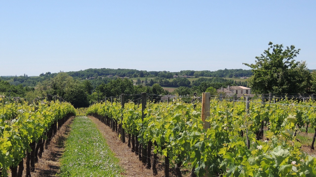 Photo of Outdoor in Gensac