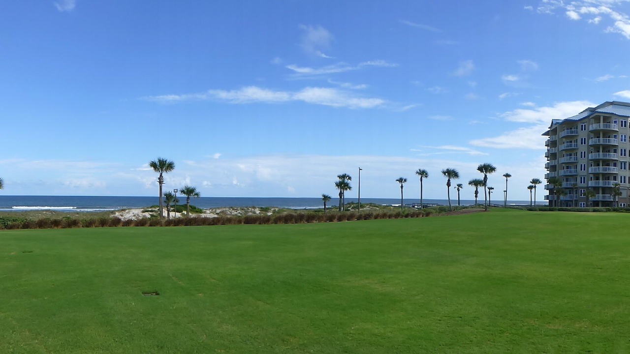 Photo of Others in Amelia City