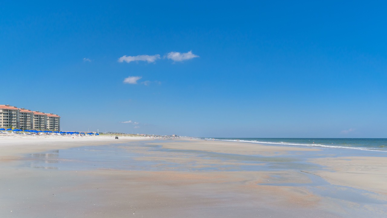 Photo of Others in Amelia City