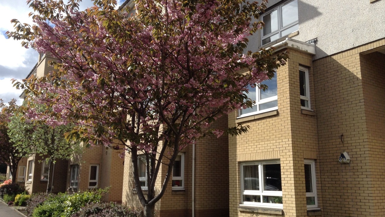 Photo of Outdoor in Paisley