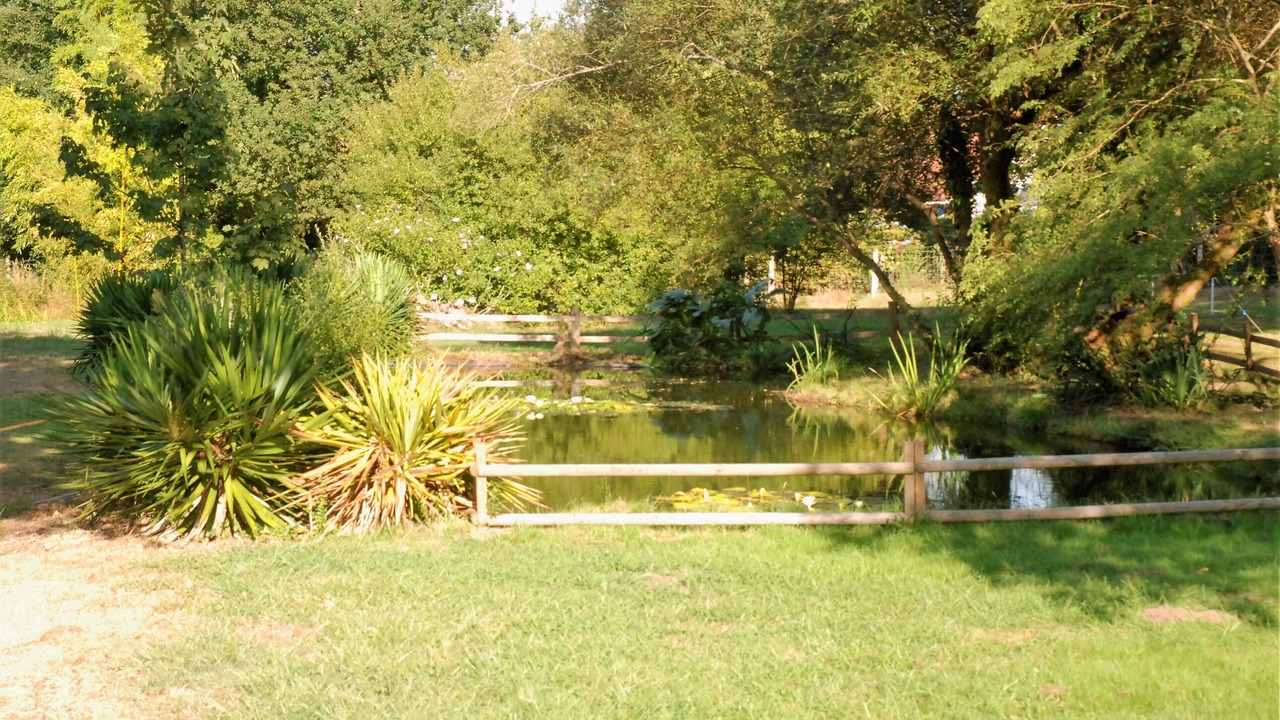 Photo of Outdoor in Mezos