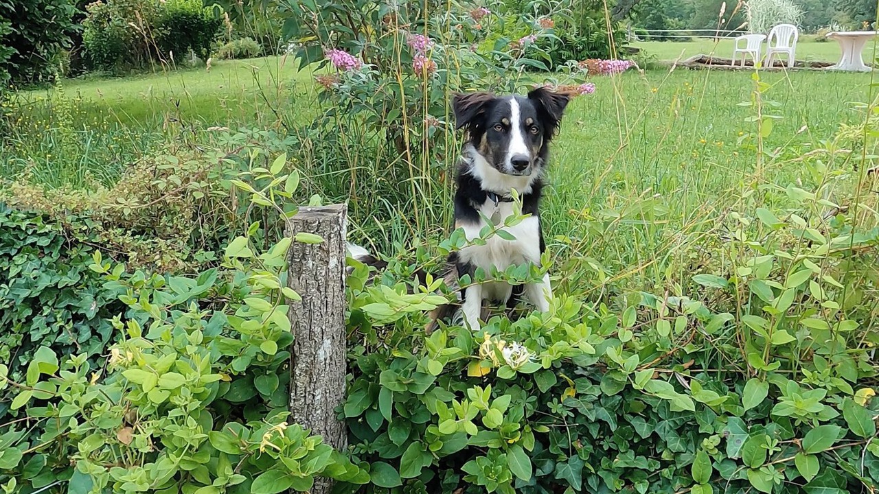 Photo of Others in Villamblard