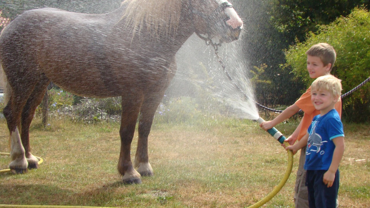 Photo of Others in Villamblard