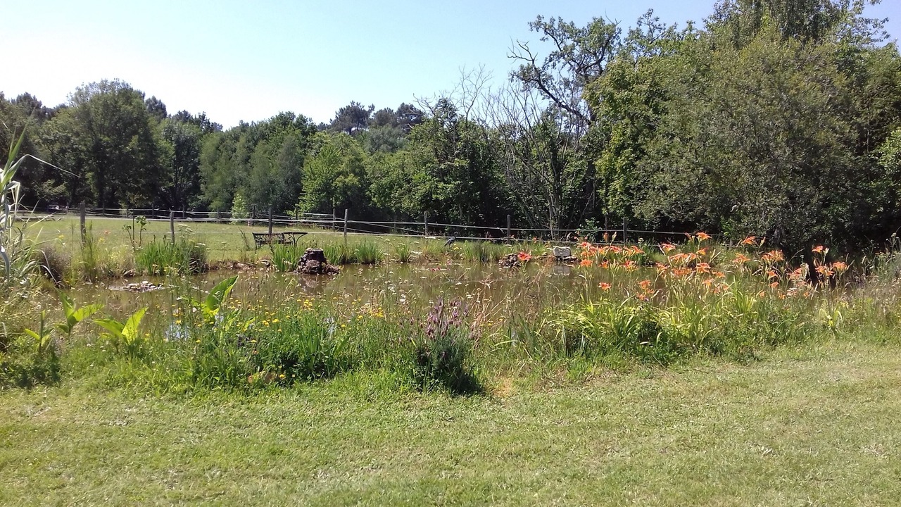 Photo of Others in Villamblard