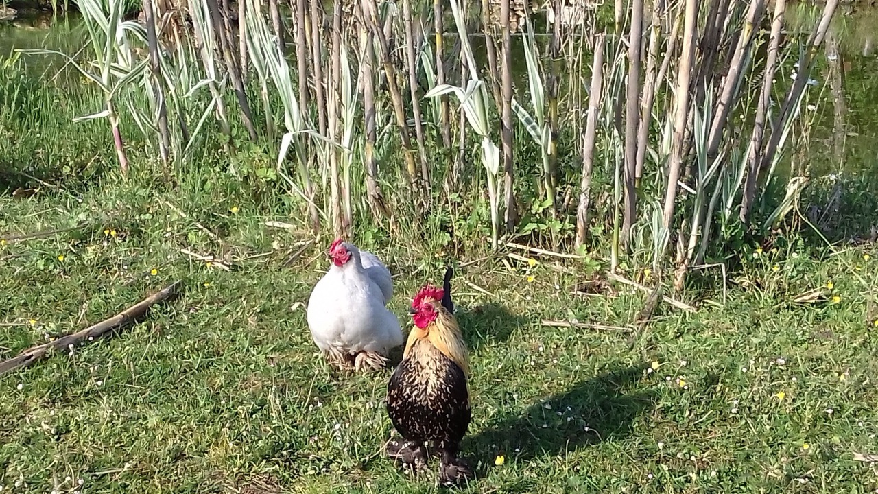 Photo of Others in Villamblard