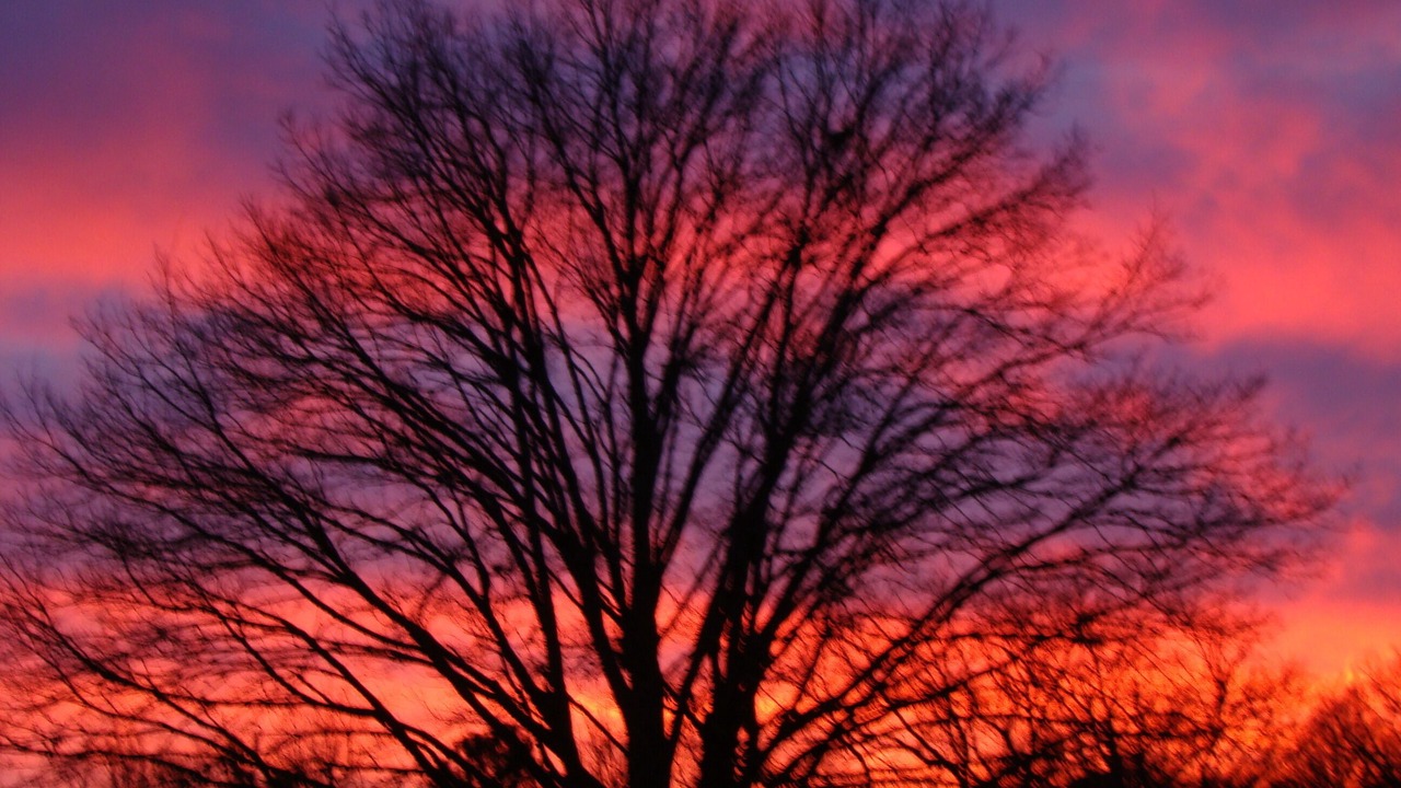 Photo of Outdoor in Villamblard