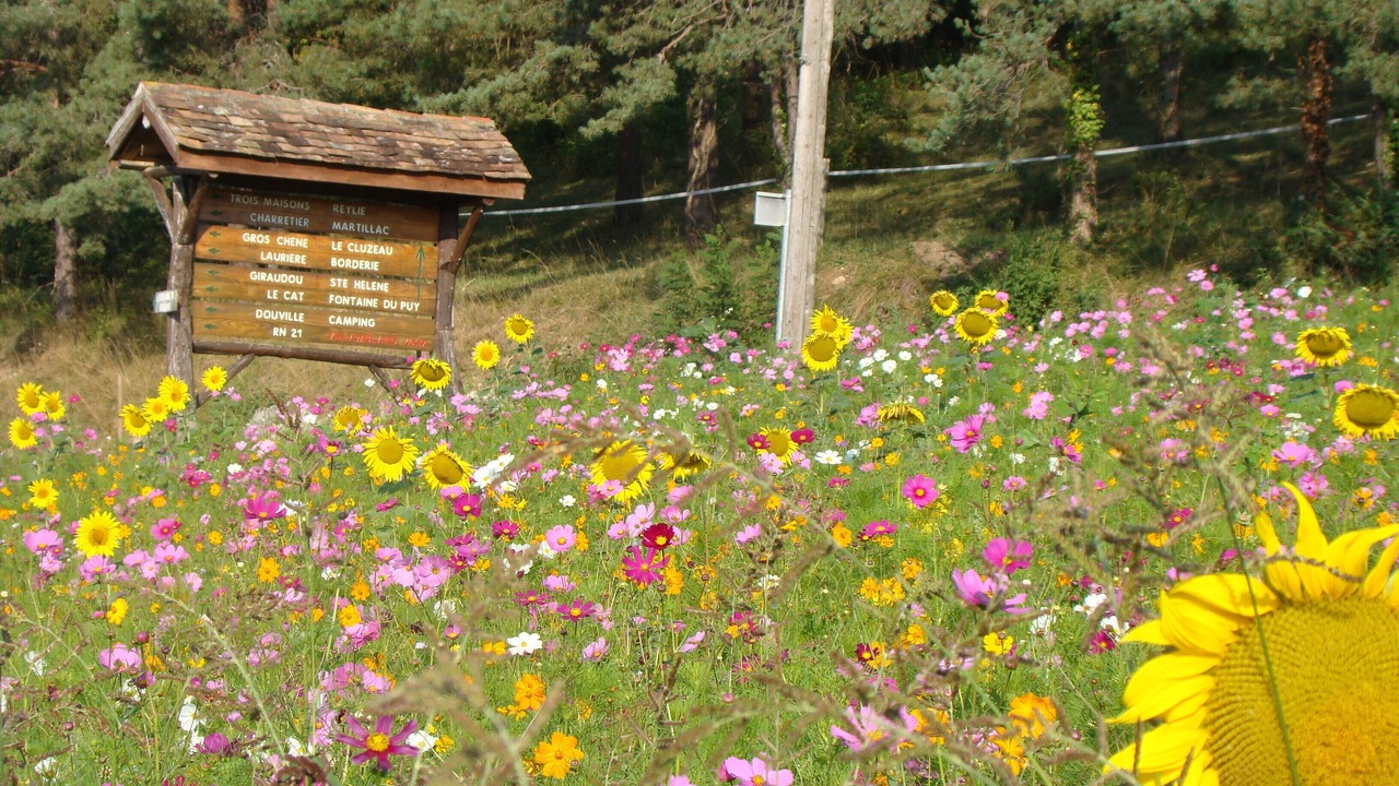 Photo of Others in Villamblard