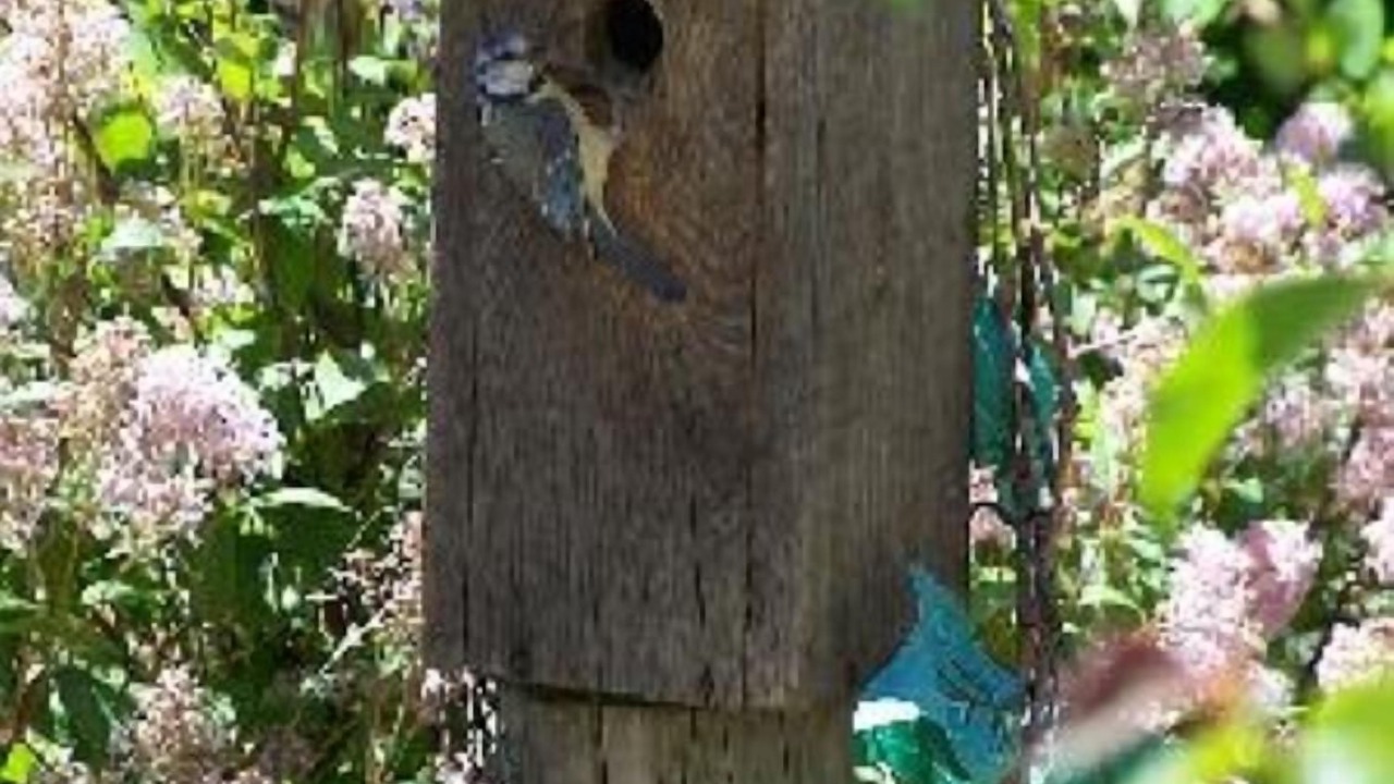 Photo of Outdoor in Blaunac