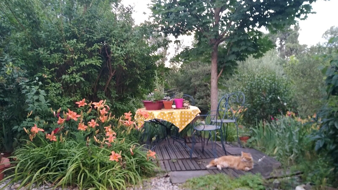 Photo of Outdoor in Blaunac