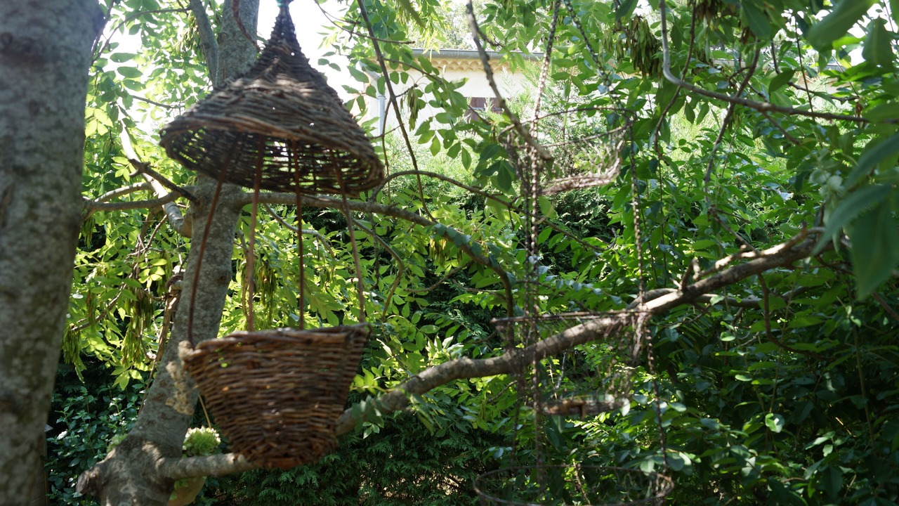 Photo of Outdoor in Blaunac