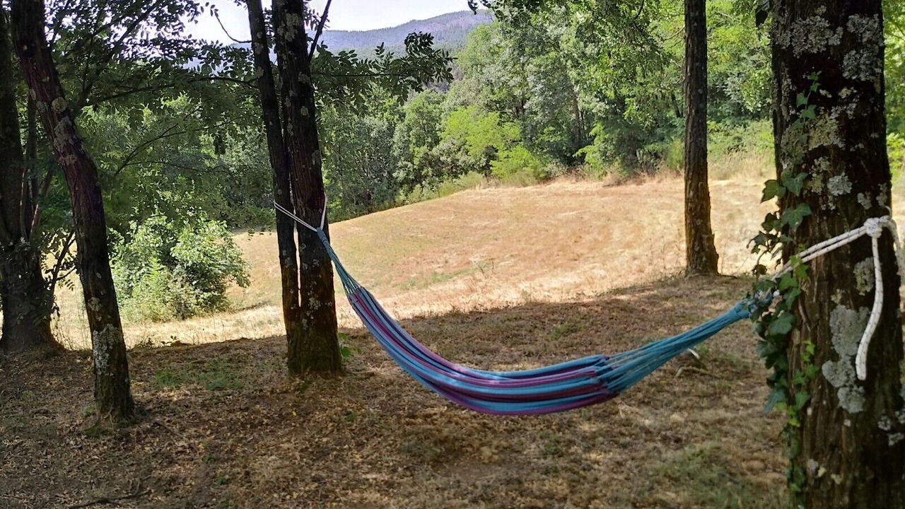 Photo of Outdoor in Blaunac