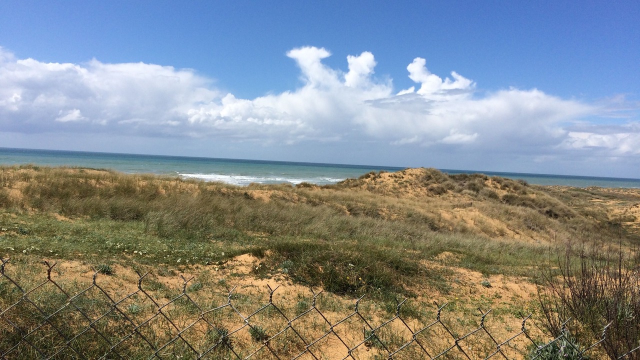 Photo of Others in Olonne-sur-Mer