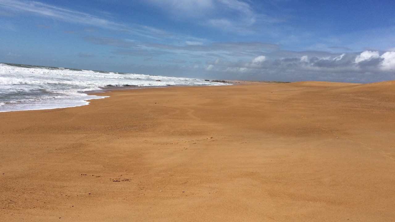 Photo of Others in Olonne-sur-Mer