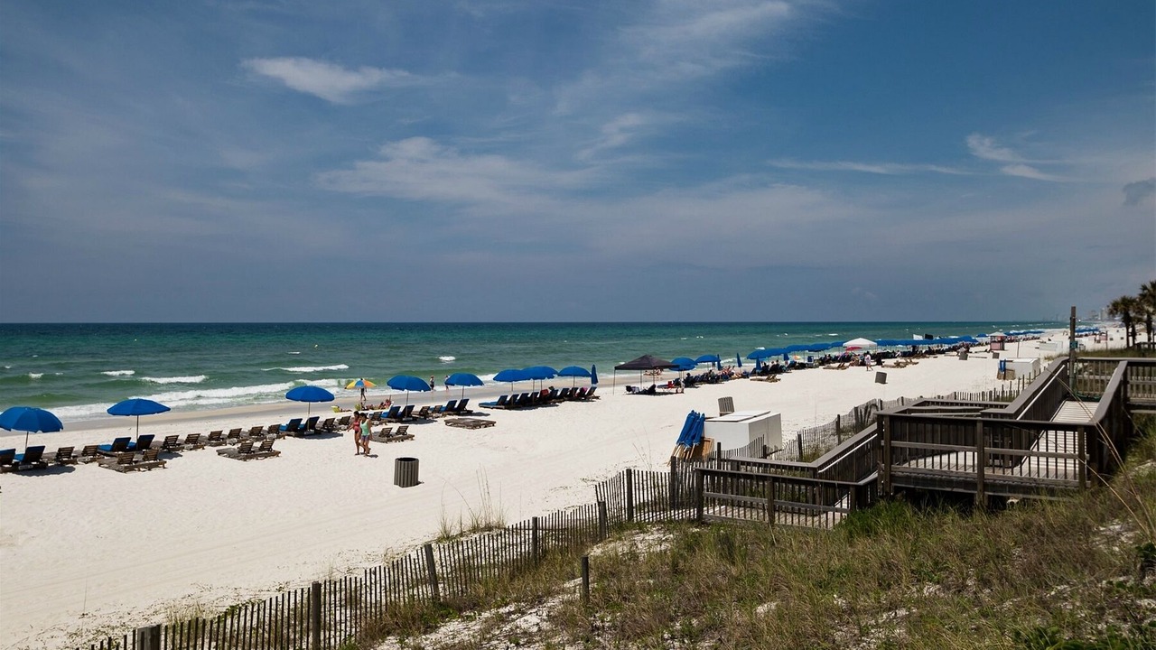 Photo of Others in Biltmore Beach