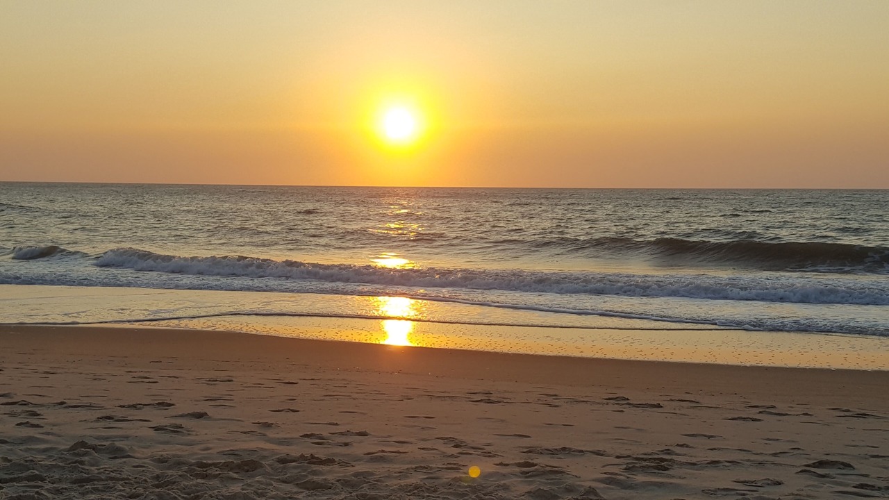 Photo of Others in North Ocean City