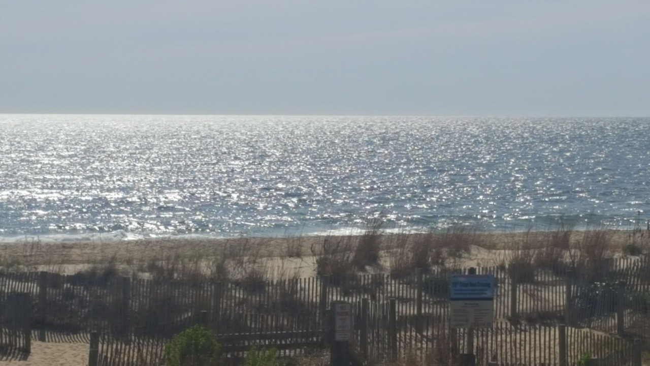 Photo of Others in North Ocean City