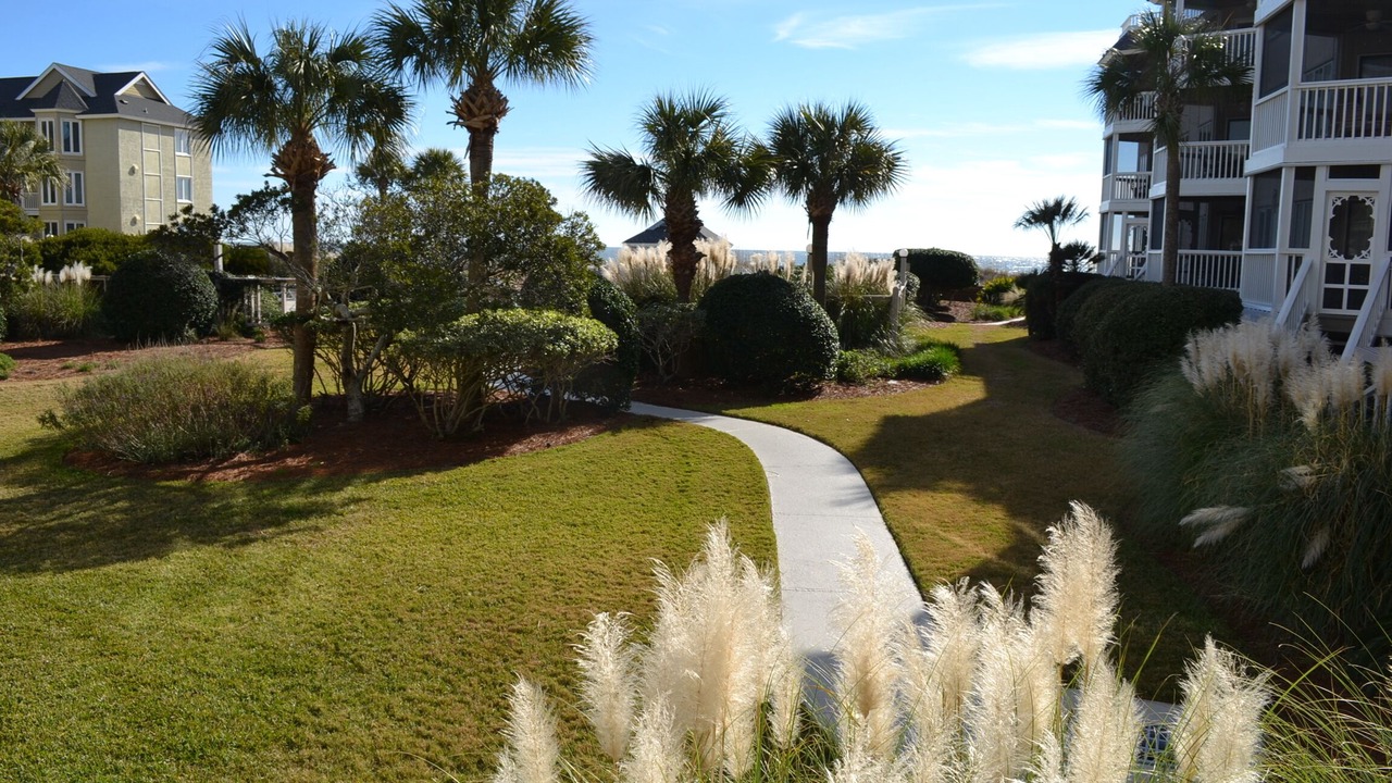 Photo of Outdoor in Isle of Palms