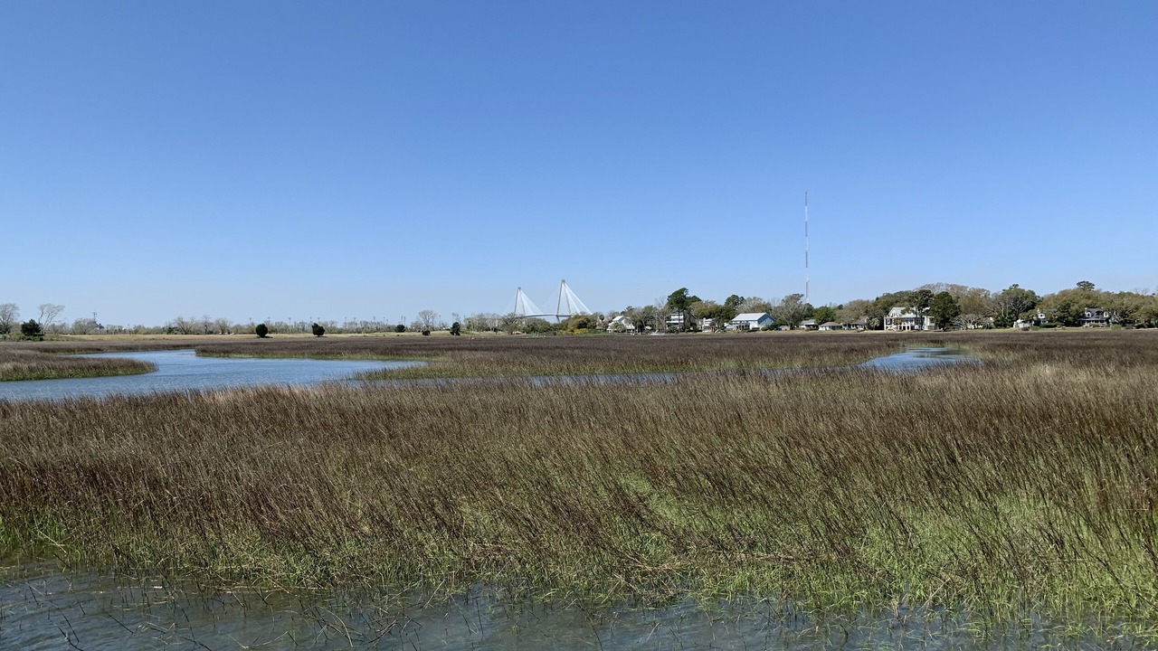 Photo of Others in Isle of Palms