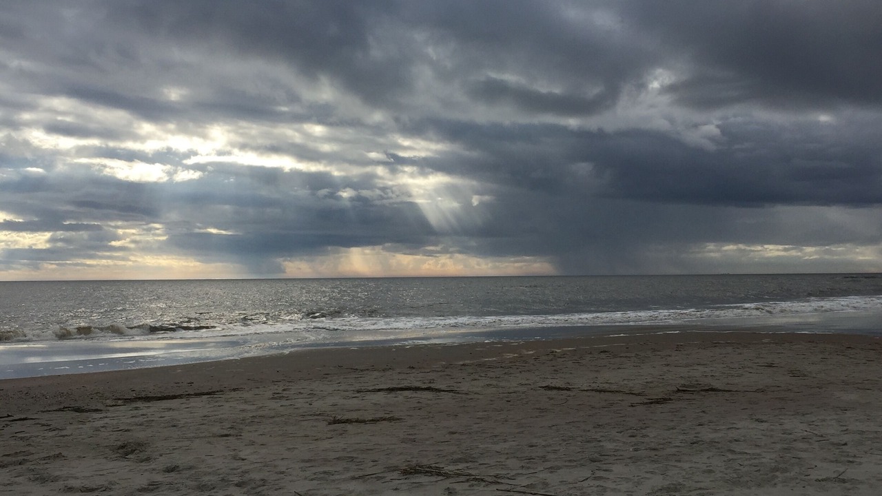 Photo of Outdoor in Isle of Palms
