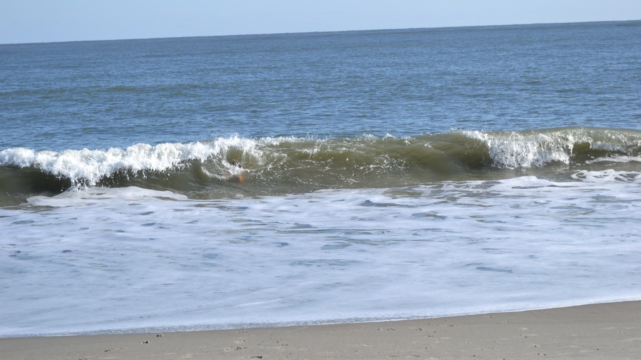 Photo of Others in Isle of Palms