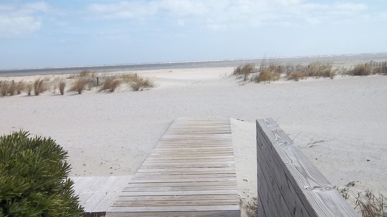 Photo of Others in Isle of Palms