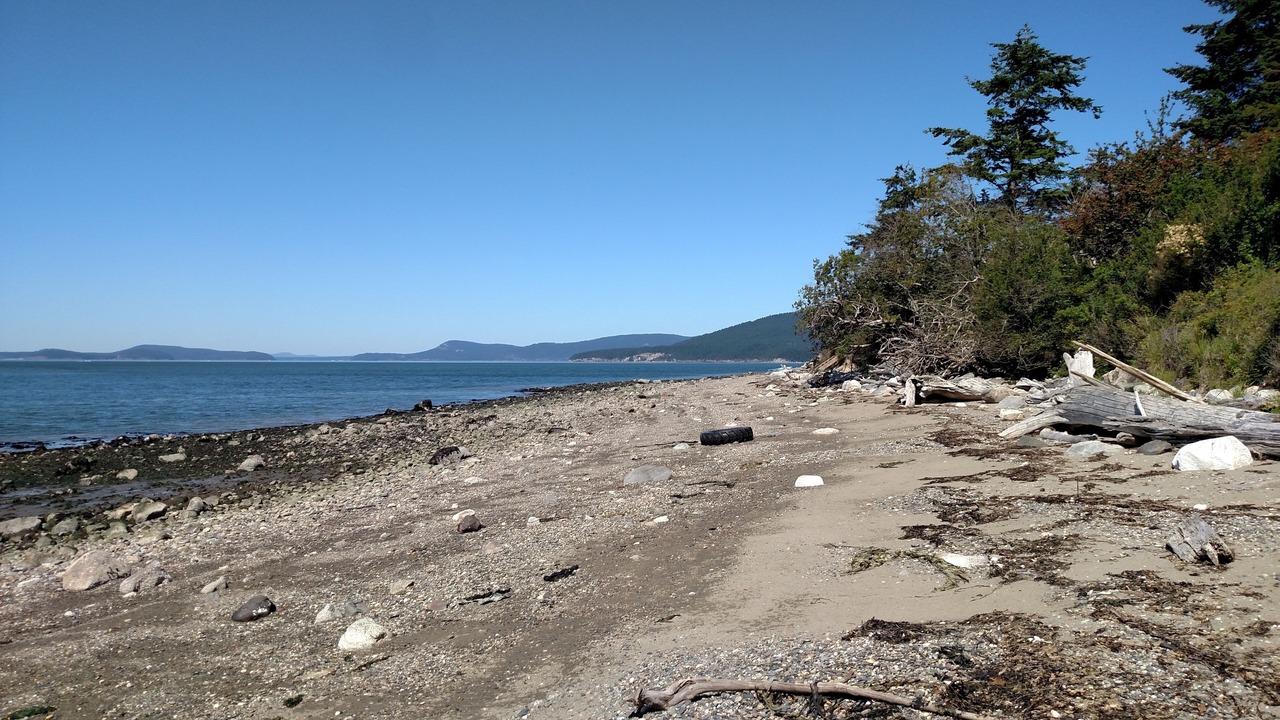 Photo of Others in Anacortes