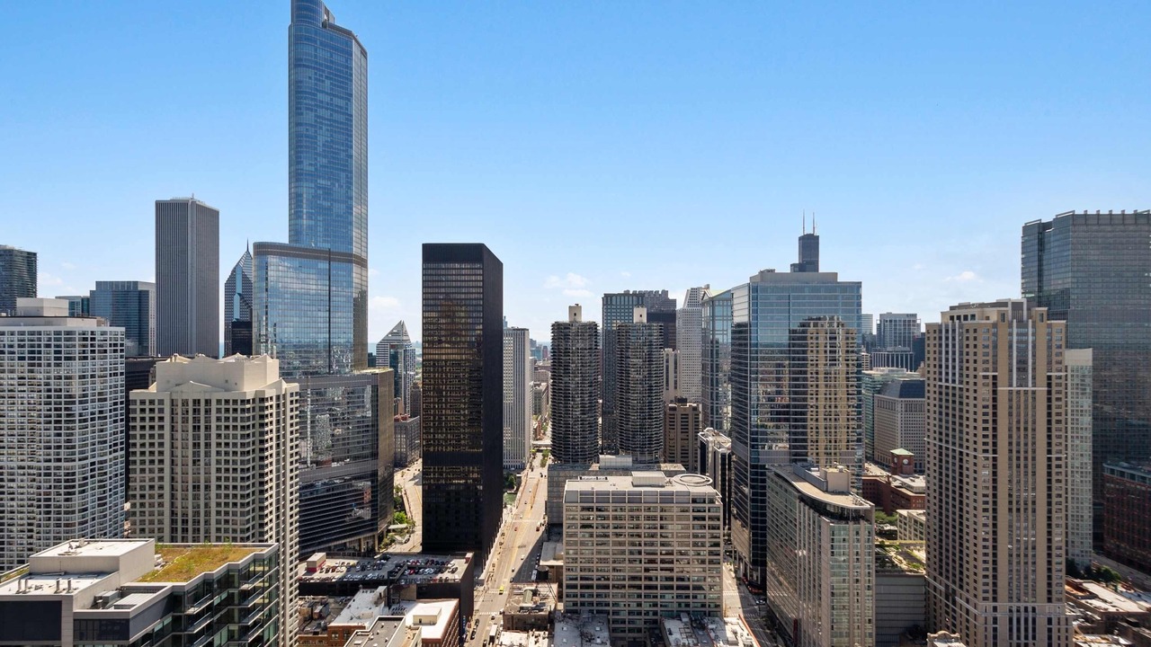 Photo of Others in Downtown Chicago
