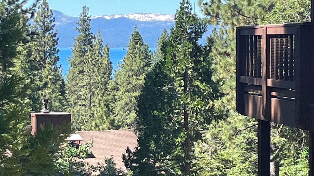 Photo of Others in Lake Forest
