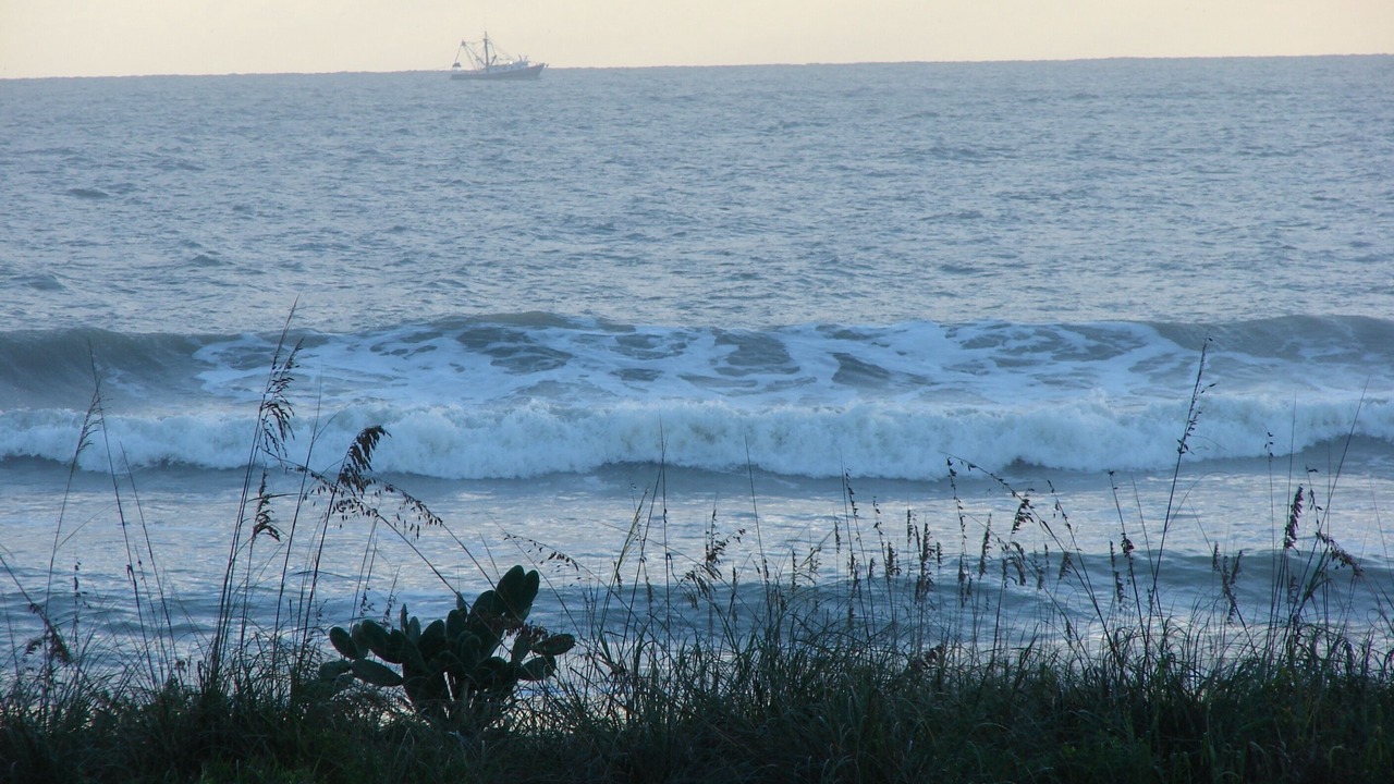 Photo of Others in Cocoa Beach