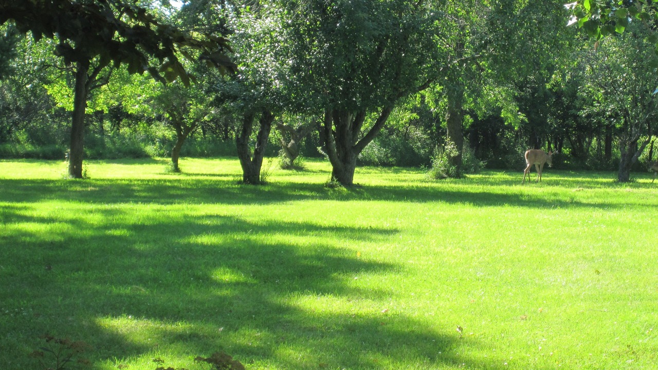 Photo of Others in Dixon