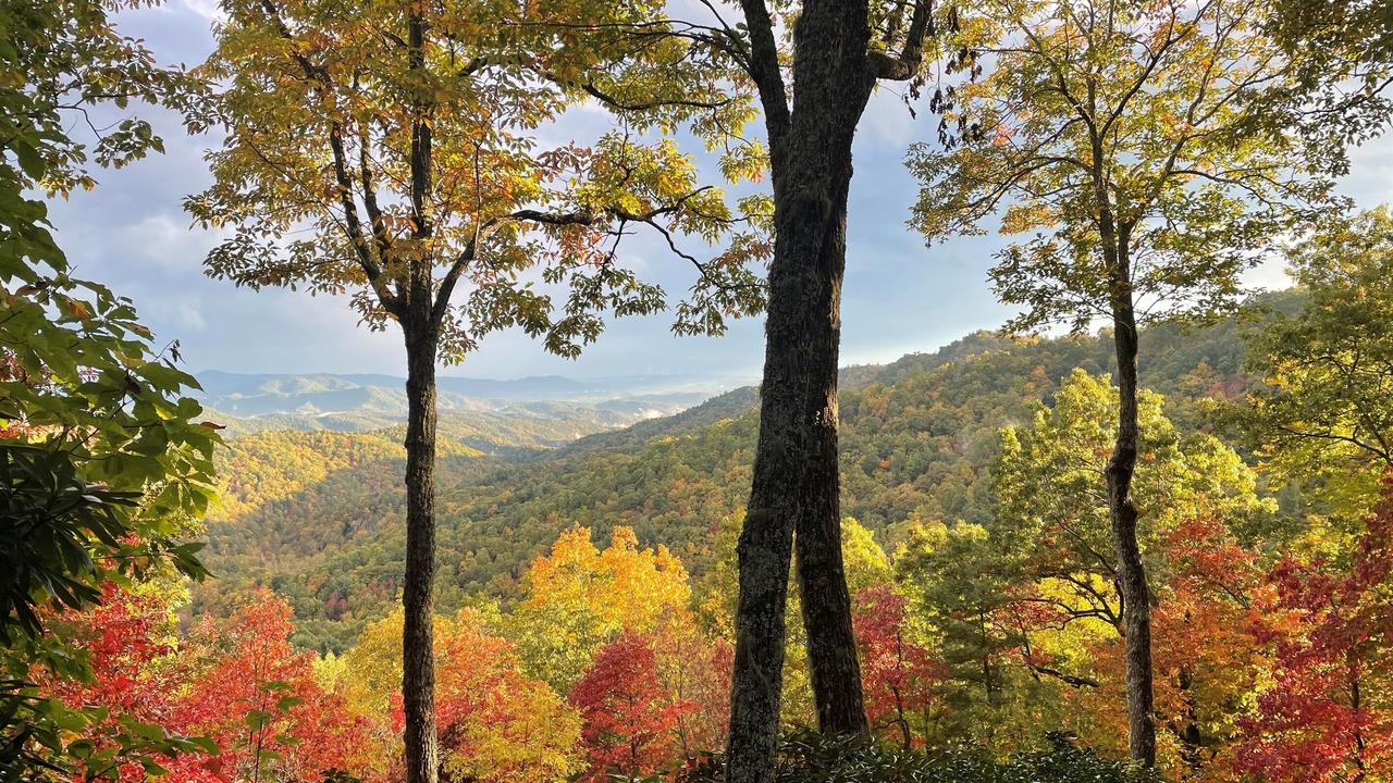 Photo of Others in Apple Ridge