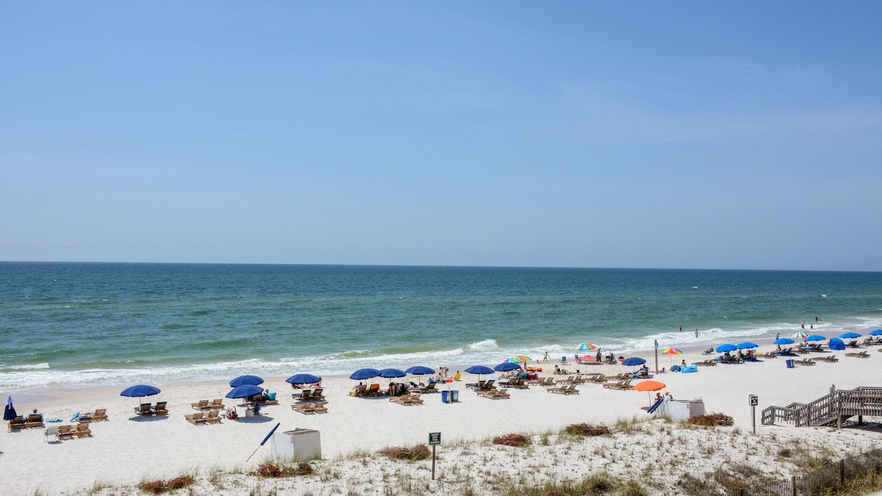 Photo of Others in Gulf Shores