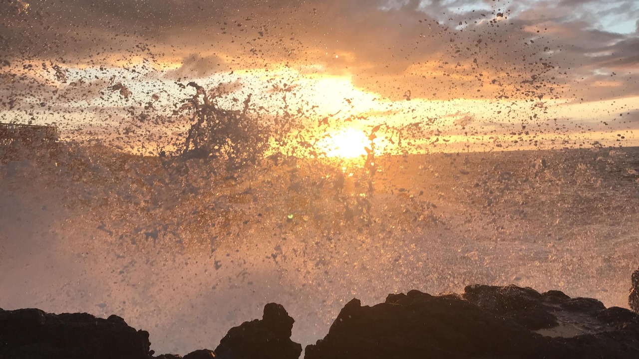 Photo of Others in Captain Cook