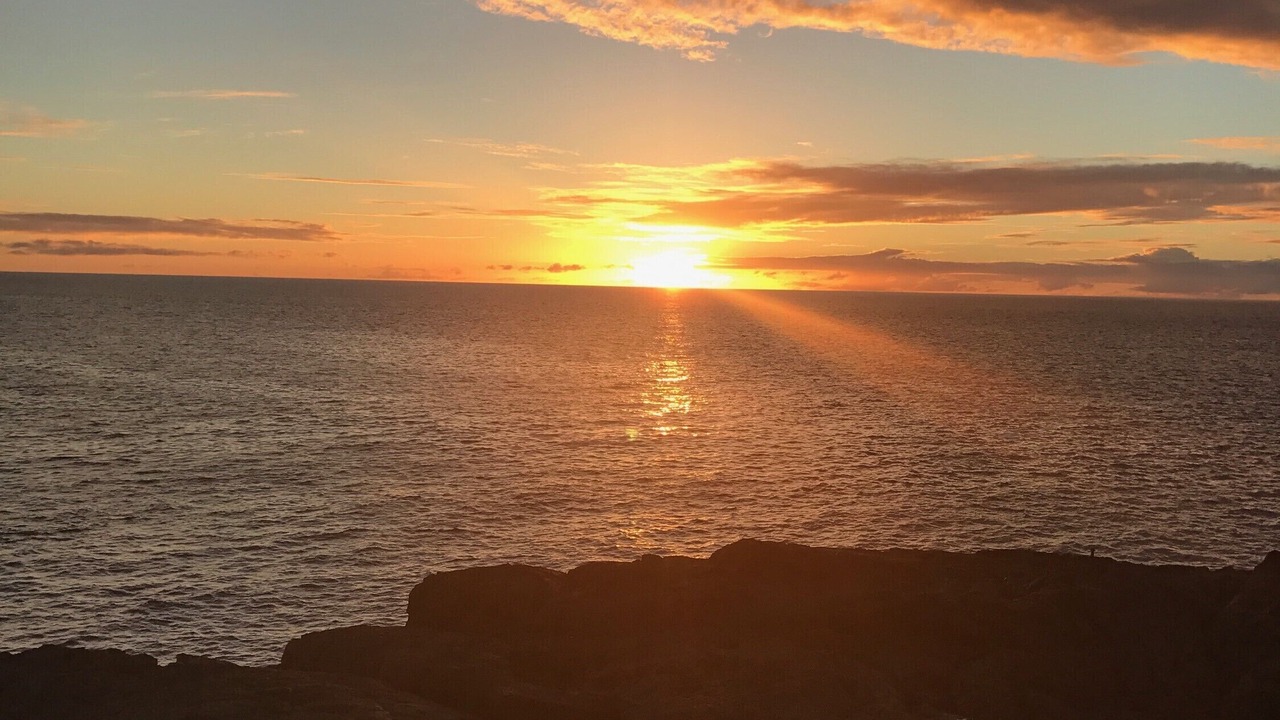 Photo of Others in Captain Cook