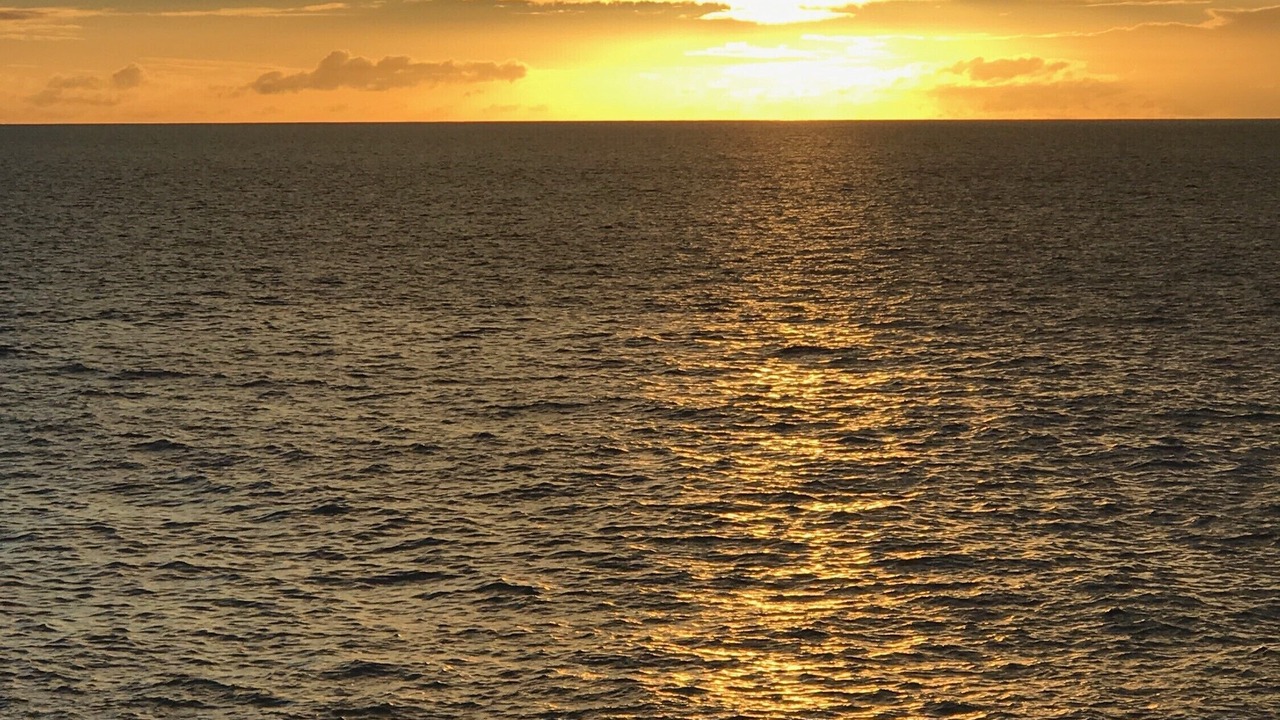 Photo of Others in Captain Cook