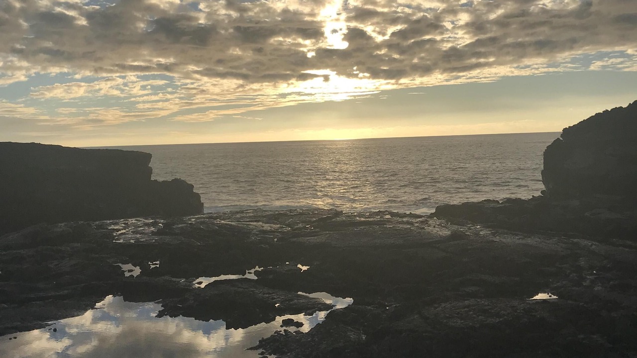 Photo of Others in Captain Cook