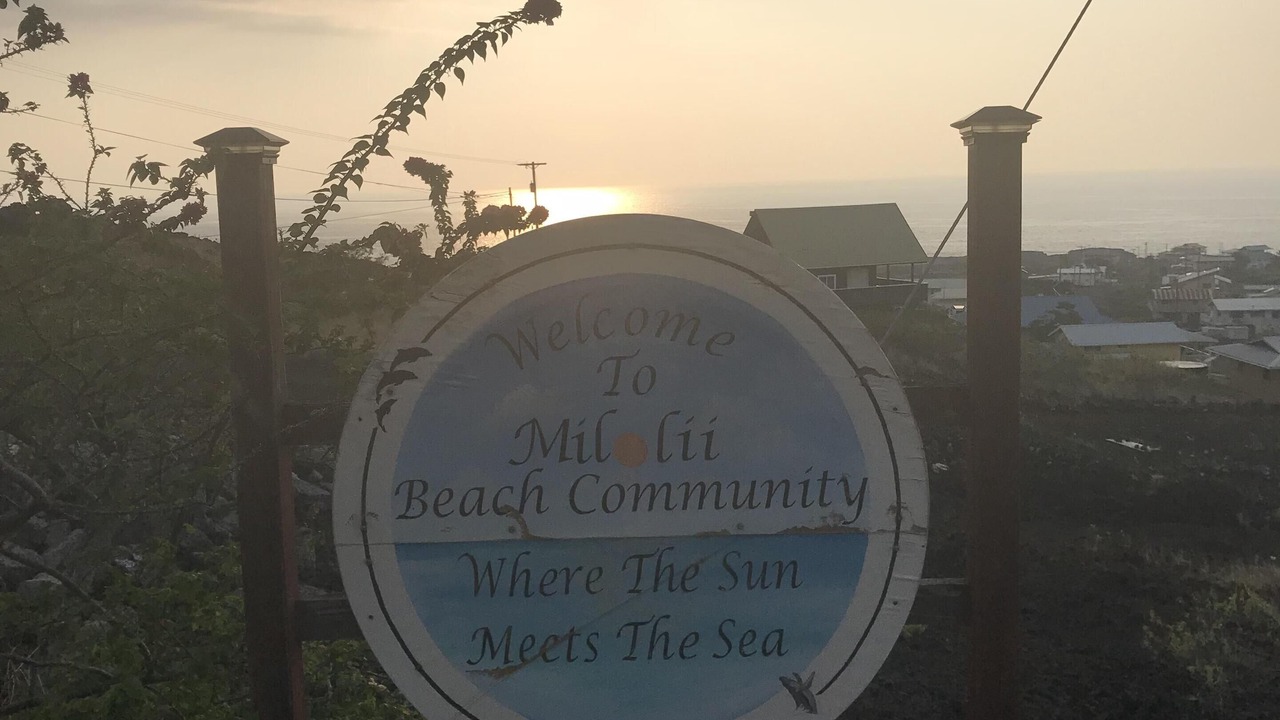 Photo of Others in Captain Cook