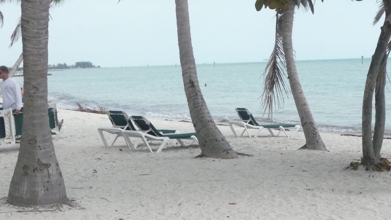 Photo of Others in Key West